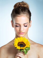 Sunflower, cosmetics and woman in studio with natural, organic and beauty facial makeover. Glow, makeup and female person with yellow floral plant for cosmetology face routine by blue background.