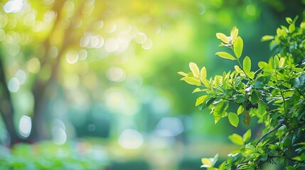 Fototapeta premium Nature background display over blur green tree garden Blur park nature outdoor bokeh light background in spring and summe : Generative AI