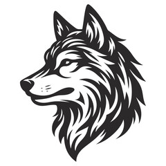 Fototapeta premium wolf head isolated on white