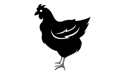 rooster, chicken isolated on white background