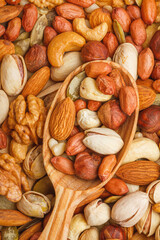 Nuts and seeds of different types with a wooden spoon closeup with selective focus - peeled walnut, hazelnuts, peeled peanut, pine nut kernels, almond seeds, cashew seeds, pistachio nuts in the shell