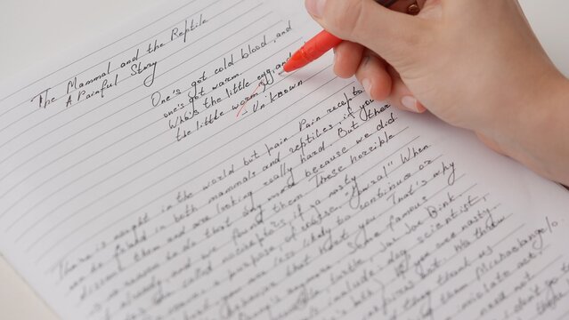 Professional school or college teacher grades a homework exam papers of students. Woman checks essay, crosses wrong words, corrects it with red pen.