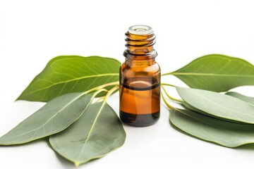 Eucalyptus Essential Oil with green leaves on white background
