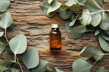 Eucalyptus leaves essence on wooden surface