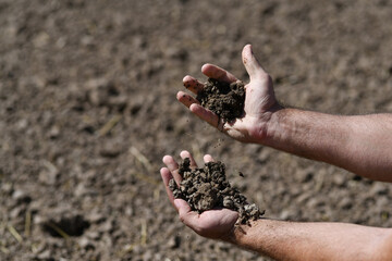 Farmer holding a fertile soil in hands. Agriculture, agribusiness. Gardener holds fertilized soil. Agriculture concept. Gardening season. Soil field.