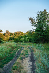 a dirt road in a field with green grass leading into the distance, against the background of a blue sky