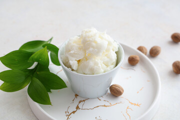 Bowl of shea butter, nuts and plant branch on light background