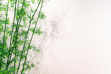 Chinese style bamboo background wall