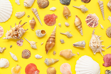 Many different sea shells on yellow background