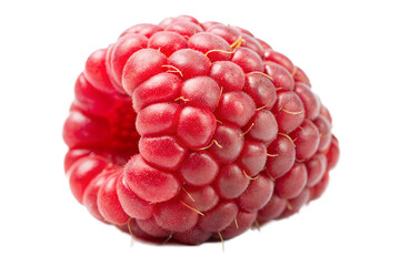 One raspberry isolated
