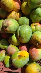 Mangos en punto de venta en el mercado