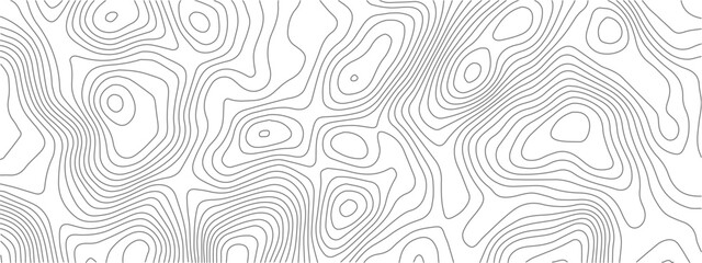 Transparent PNG Topographic line map. Modern design with White background with topographic wavy pattern design.	