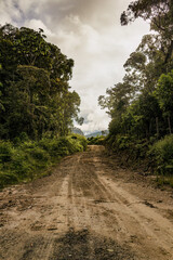 View of a muddy rural road in the middle of a native forest, in the eastern Andean mountains of Colombia, in an overcast sky at sunset.