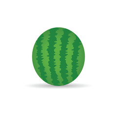 Watermelon Fruit icon, Summer fruit vector icon