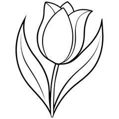 tulip1