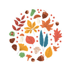 Round design concept with different fall leaves. Various foliage in circle shape. Colorful enriched fruitage and tree elements. Autumn season composition. Hand drawn flat vector illustration isolated