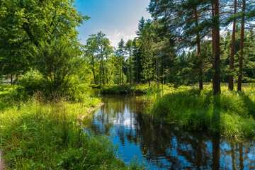 Picturesque landscape with reflection in the water in Catherine Park. Tsarskoe Selo, Pushkin, St....