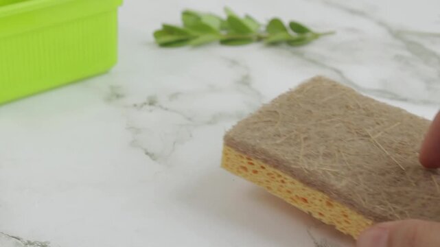 Change normal sponge for an ecological one for cleaning