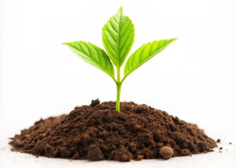 Fresh green leaf sprout emerges from earthy terrain, symbolizing hope, renewal, and eco-friendly living, isolated on a clean white background, emphasizing nature's beauty.