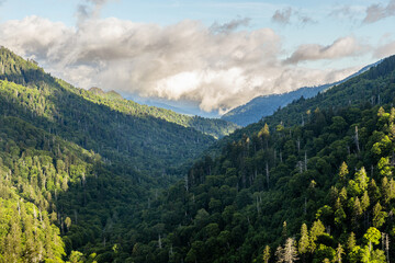 Obraz premium Sunrise over Mountains in Appalachia