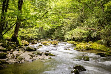 Sunrise over Mountains in Appalachia