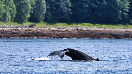 Fototapeta premium Juneau, Alaska