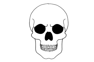 vector illustration of skull, silhouette