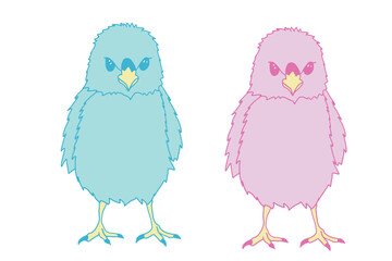 vector illustration of female and male chicks, angry chicks