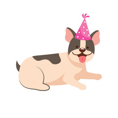 small dog with birthday hat