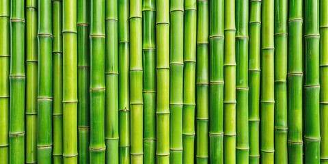 Fototapeta premium Close-up of a bamboo background texture with vibrant green leaves , bamboo, green, texture, background, close-up