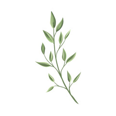 Hand painted leaves watercolor, Watercolor leave illustration on white background