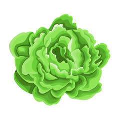 Detailed watercolor flower illustration, Elegant watercolor spring flower