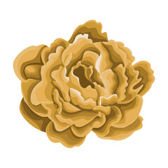 Detailed watercolor flower illustration, Elegant watercolor spring flower