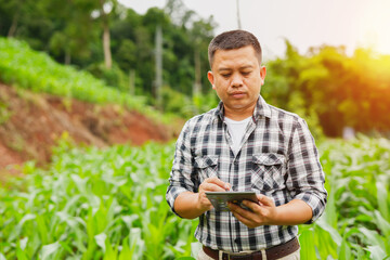 Hands of farmer, Agriculture technology farmer man using tablet Modern technology concept agriculture.