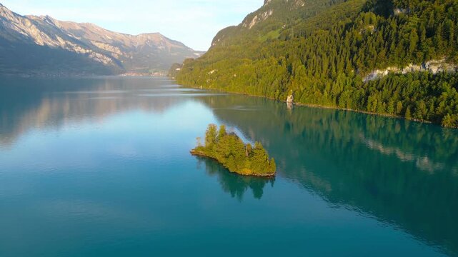 Aerial top view of garden park with green mangrove forest trees, river, pond or lake. Nature landscape background, Iseltwald, Switzerland.