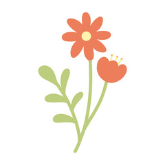 flower illustration 