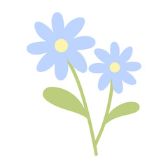 flower illustration 