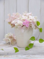 bouquet of pink roses