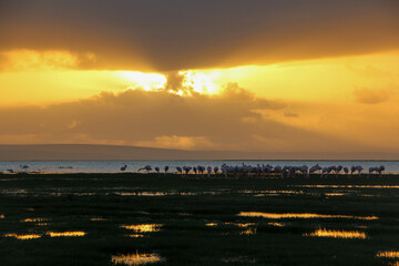 sunset over the river