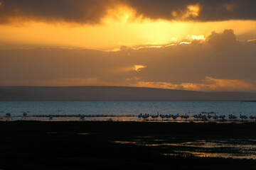 sunset at the sea
