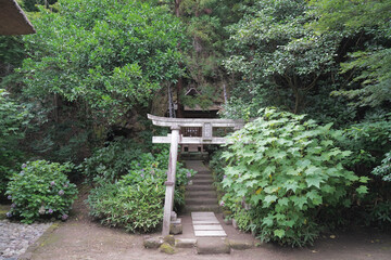 Naklejka premium 日本、神奈川県、鎌倉最古の寺、杉本寺、すぎもとでら