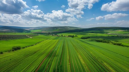 Obraz premium Aerial View of Farmland in a Rolling Green Landscape