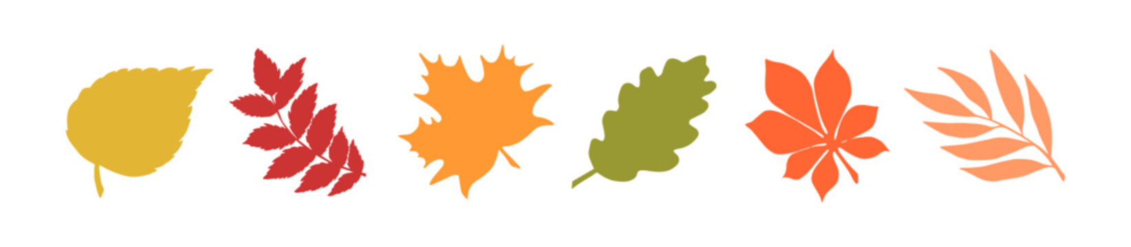Flat autumn trendy leaves on a white background. Golden falling leaves of oak, birch, maple, rowan, willow, chestnut. Elements for trendy design of banners and posters, web, social media, marketing. 