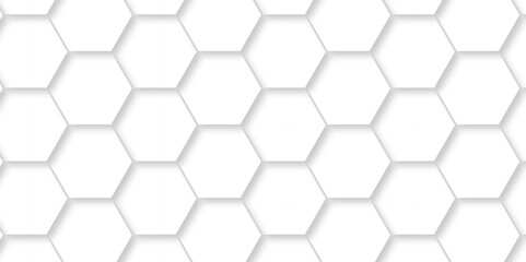 Abstract white 3d hexagon light creative digital concept vector surface grid hexagonal tile and mosaic background. vector illustration geometry science and technology cover web white honeycomb texture