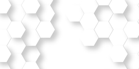 Abstract white 3d hexagon light creative digital concept vector surface grid hexagonal tile and mosaic background. vector illustration geometry science and technology cover web white honeycomb texture