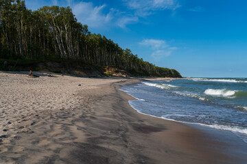 View of the Baltic Sea coast near the village of Lesnoy on the Curonian Spit on a sunny summer day, Kaliningrad region, Russia