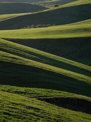 Obraz premium Green hill