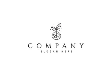 seedling plant with natural water drops in line art design logo concept