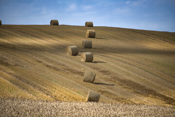 Scenic countryside landscape with hay bales on golden harvested field under a blue sky