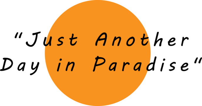 A shirt with "Just Another Day in Paradise" captures a relaxed, carefree vibe. It suggests enjoying life and appreciating the beauty around us, making every day feel like a blissful escape to paradise